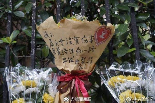 🤔拓记：杨瀚森核心&下肢力量要加强 只卡位不抢板也需要改进